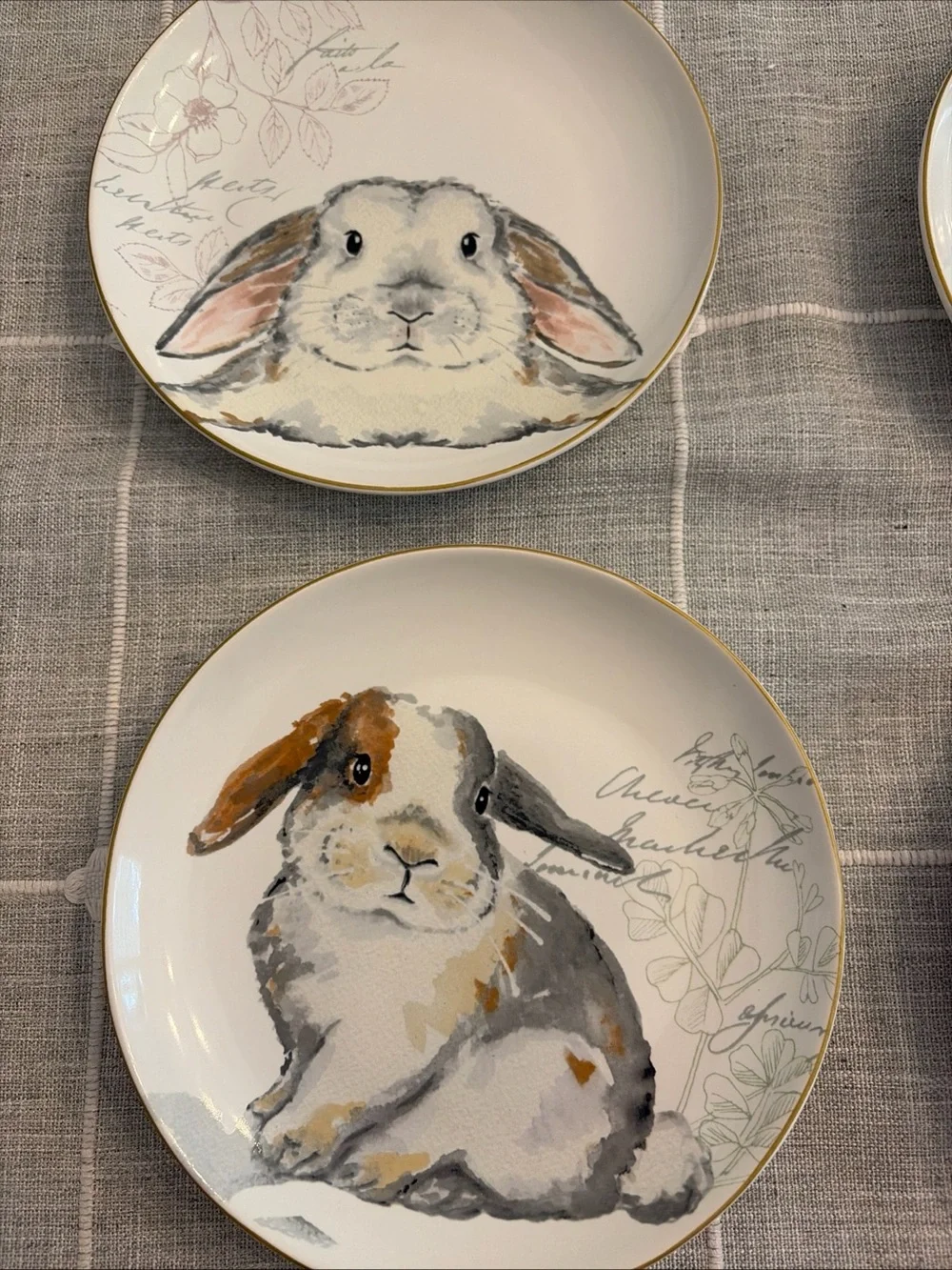 SET OF 6 Pier 1 Elegant Gray Bunnies APPETIZER SALAD DESSERT PLATES, PORCELAIN